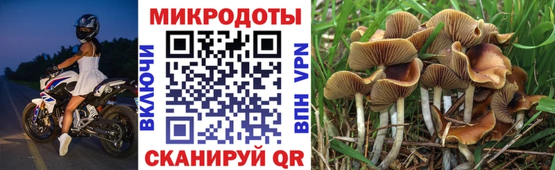 Галлюциногенные грибы ЛСД Реж